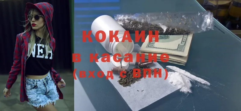 Cocaine FishScale  Александровск 